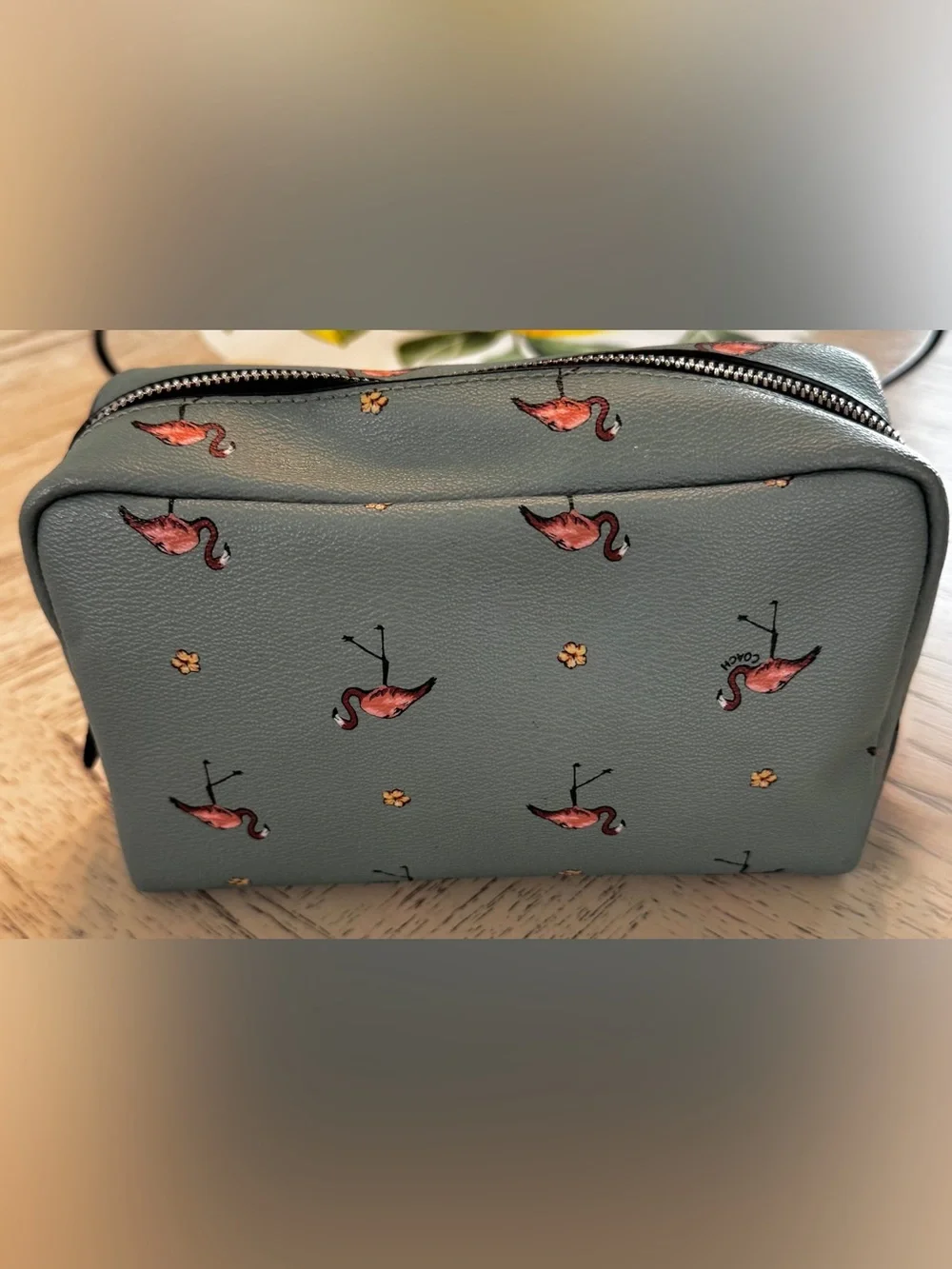 Coach Boxy Cosmetic Case 20 Flamingo Print Aquamarine F29374